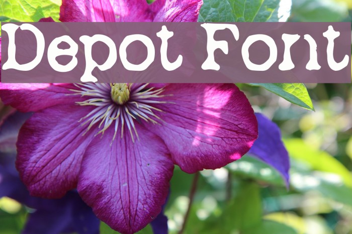 Depot Font examples