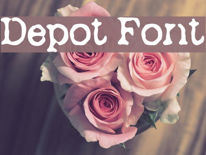 Depot Font examples