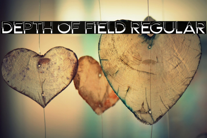 Depth of Field Regular Example 3