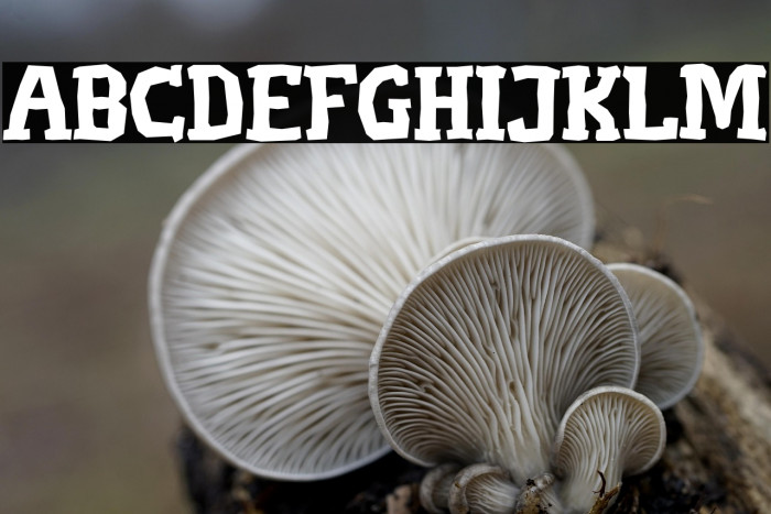 Deputy-Jack Example 2