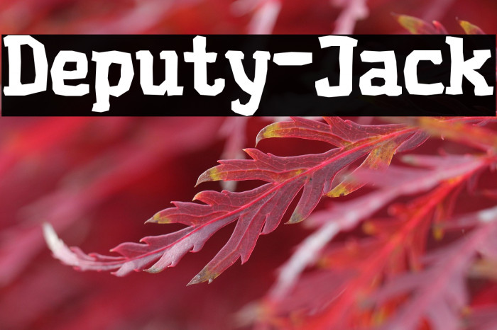 Deputy-Jack Example 1