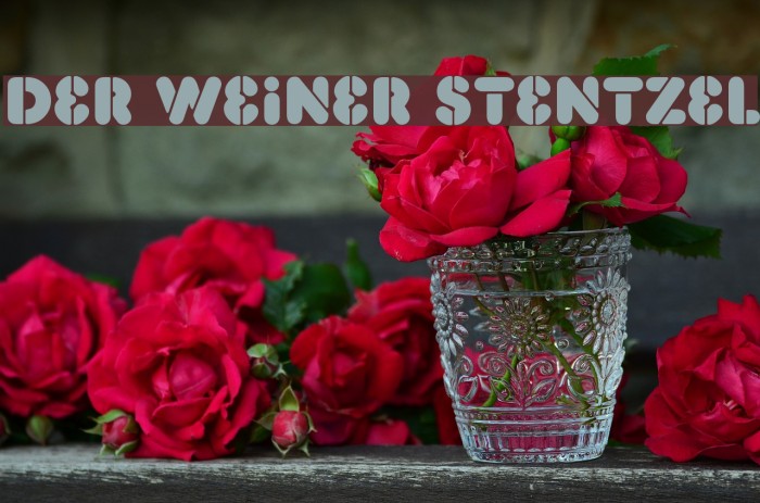 Der Weiner Stentzel Font examples