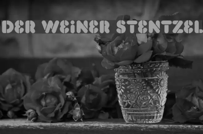 Der Weiner Stentzel Font examples