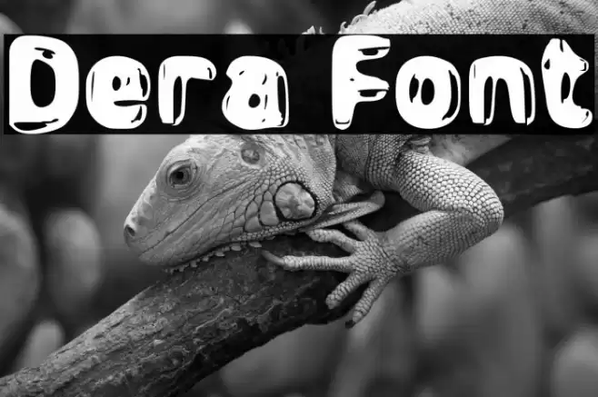Dera Font examples