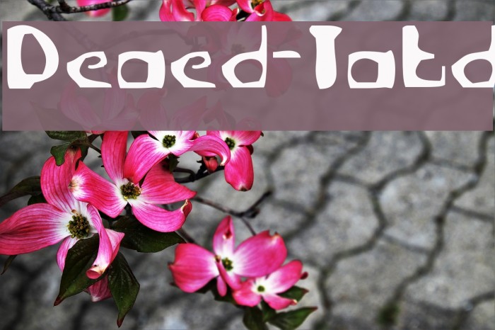 Deranged-Tabloid Font examples