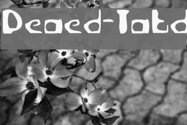 Deranged-Tabloid Шрифта examples