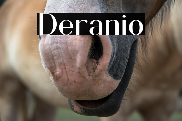 Deranio Example 3