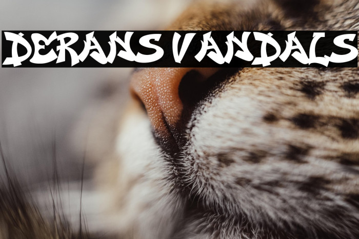 Derans Vandals Example 1
