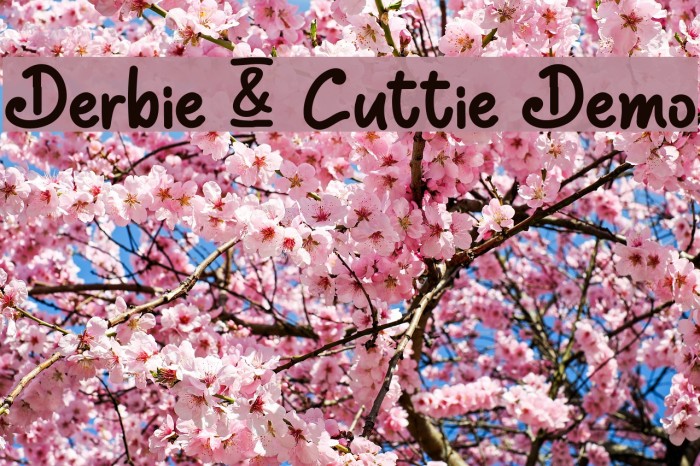 Derbie & Cuttie Demo Font examples