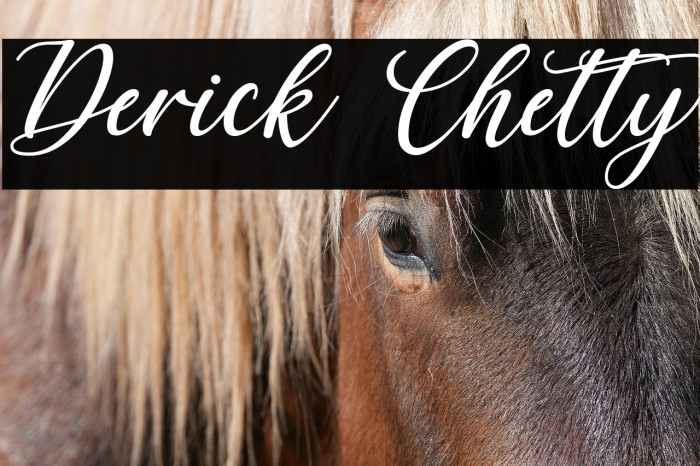 Derick Chetty Example 1