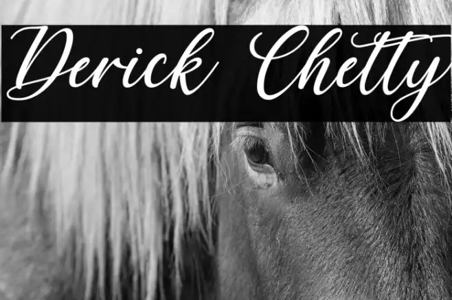 Derick Chetty Example 1