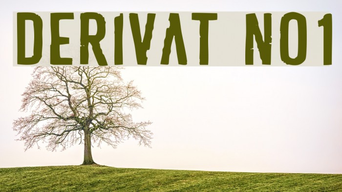 Derivat No1 Font examples