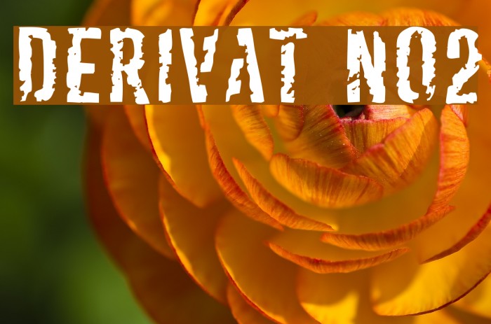 Derivat No2 Font examples