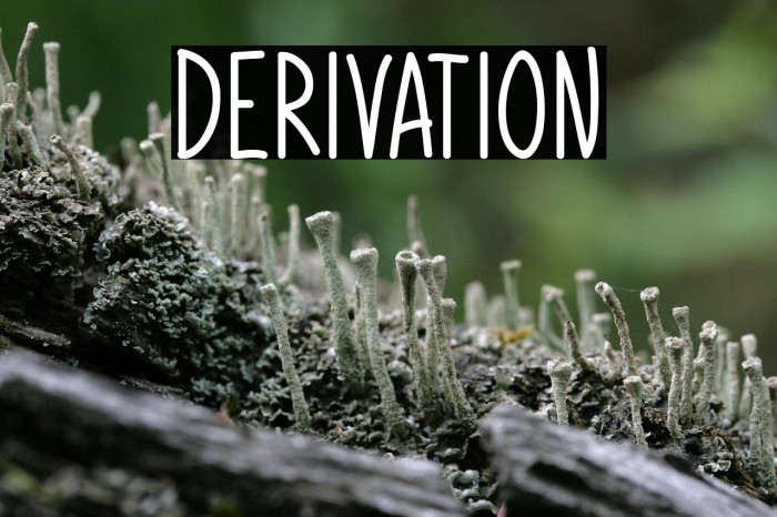 Derivation Example 2