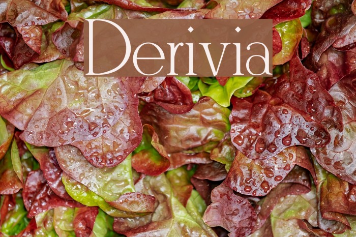 Derivia Font examples
