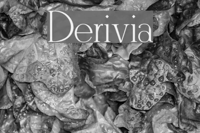 Derivia Example 1