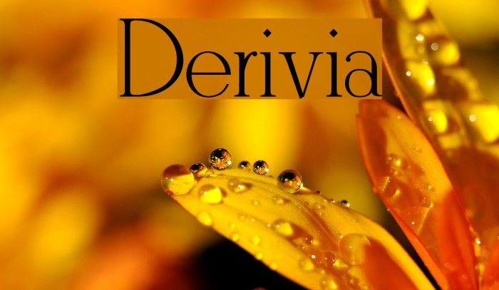 Derivia Font examples