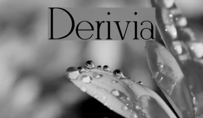Derivia Example 2