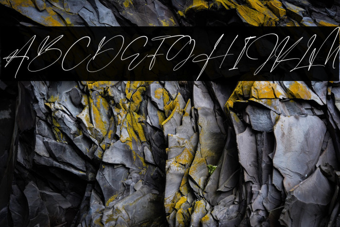 Derlantica Beauty Italic Example 1