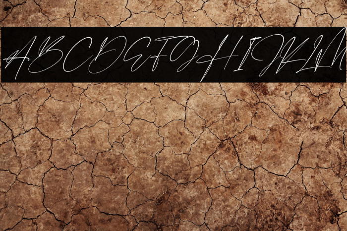 Derlantica Beauty Italic Example 2