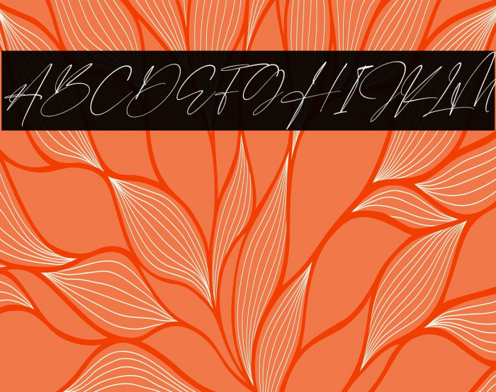 Derlantica Beauty Italic Example 3