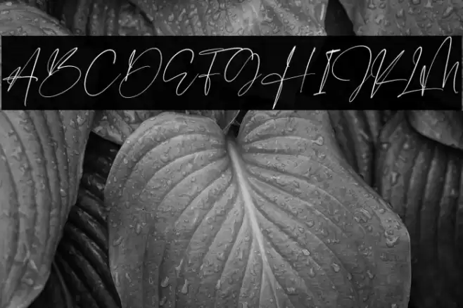 Derlantica Beauty Font examples