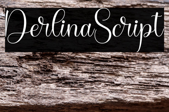 DerlinaScript Example 1