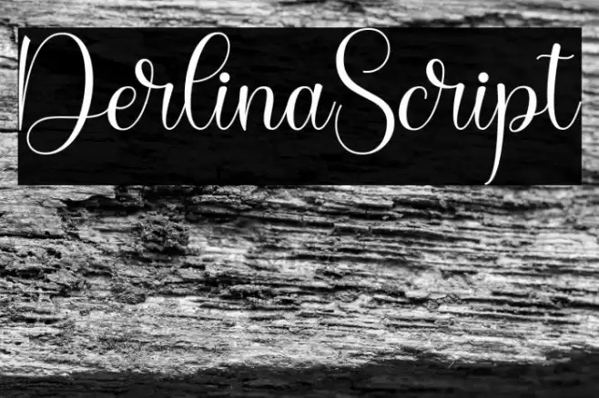 DerlinaScript Font examples