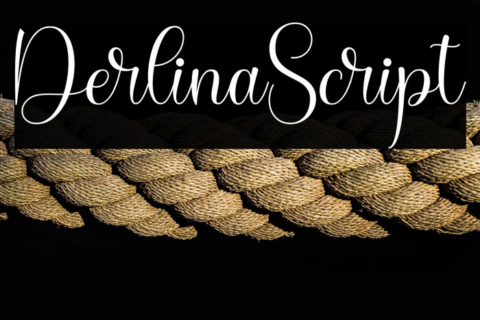 DerlinaScript Example 2