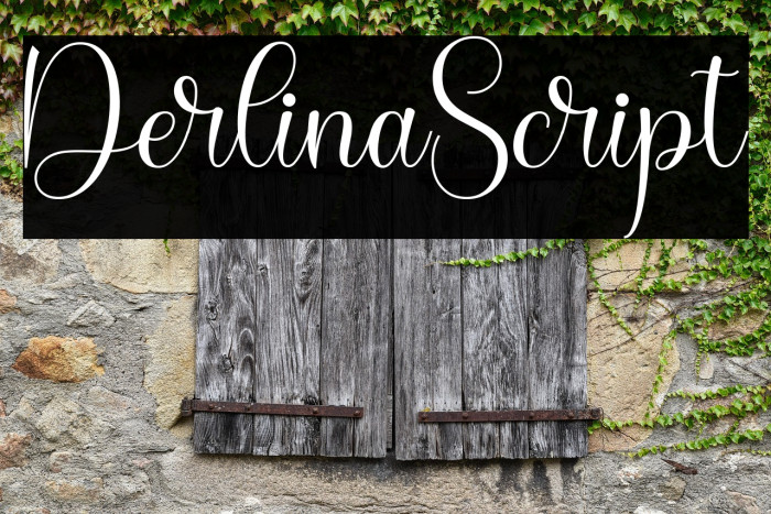 DerlinaScript Example 3