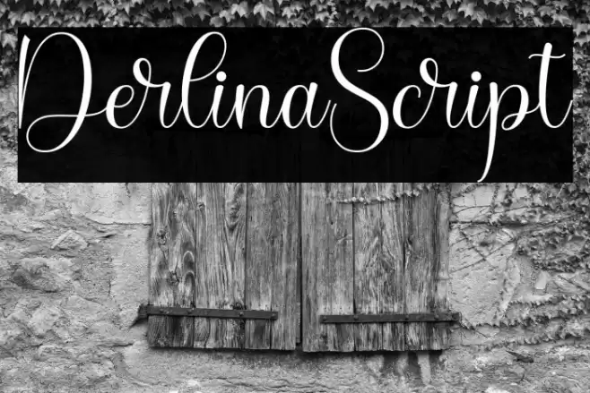DerlinaScript Font examples