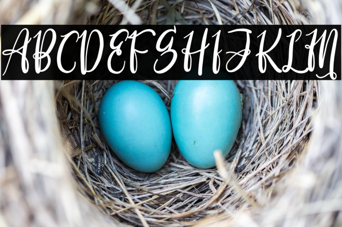 Derlinata Space Example 1