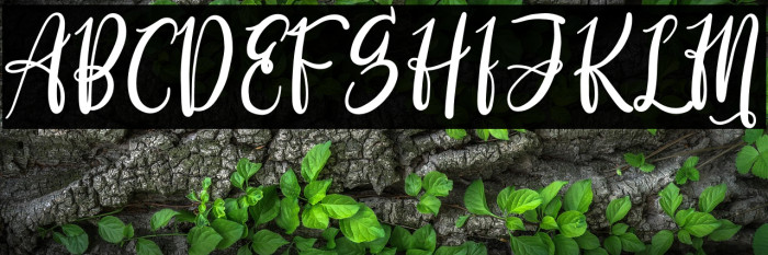 Derlinata Space Example 2