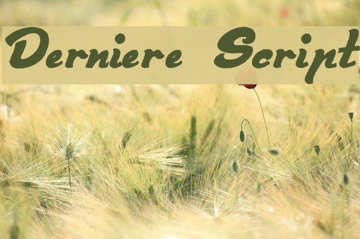 Derniere Script Font examples