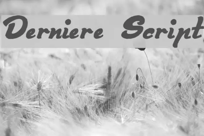 Derniere Script Example 1
