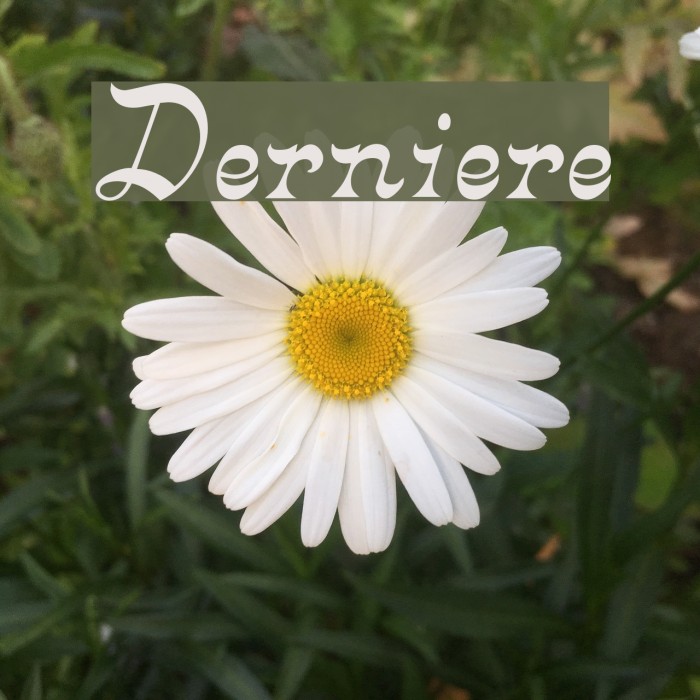 Derniere Font examples