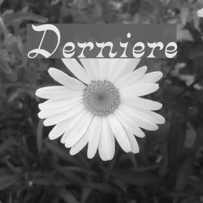 Derniere Example 3