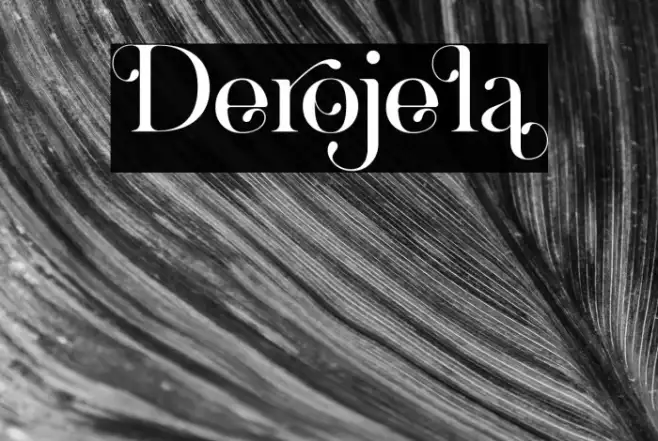 Derojela Example 2
