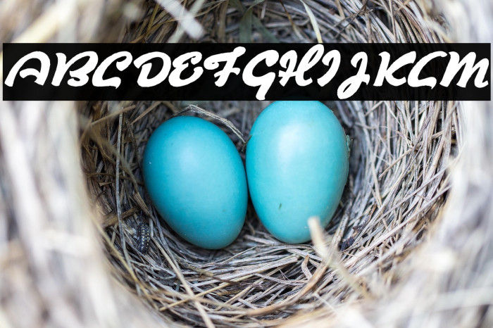 Derradeira Example 1