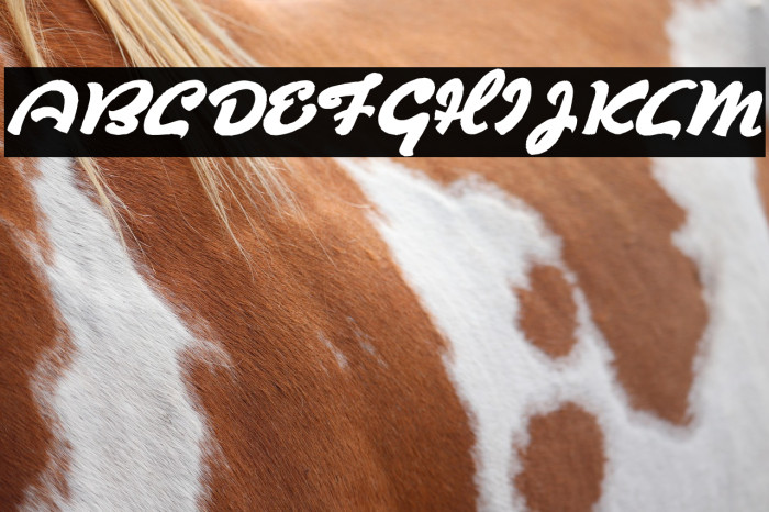 Derradeira Example 3