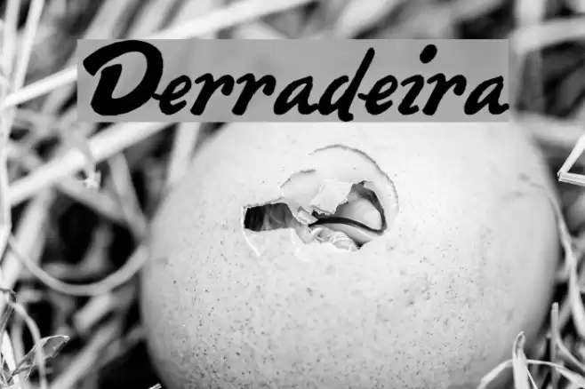Derradeira Font examples