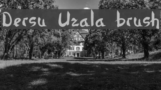 Dersu Uzala brush Example 1