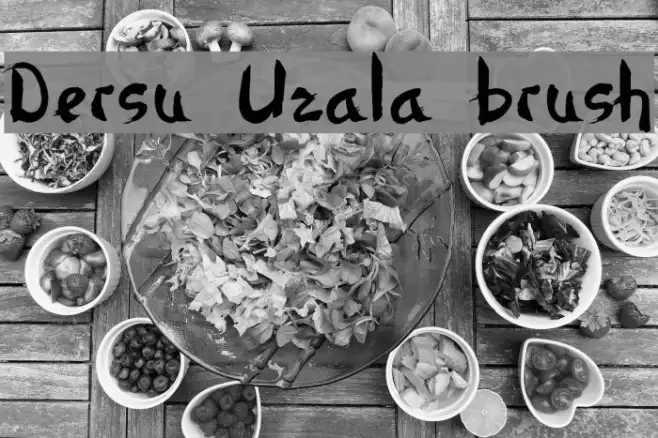 Dersu Uzala brush Example 2