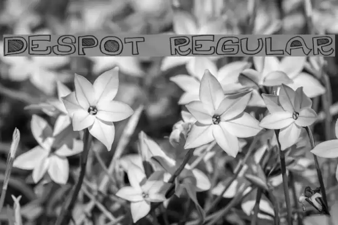 DesPot-Regular Font examples