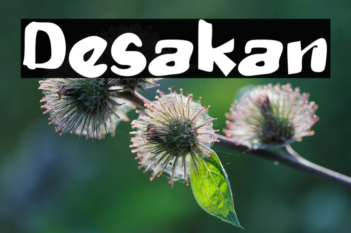 Desakan Example 3