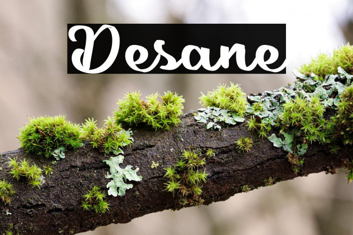Desane Example 3