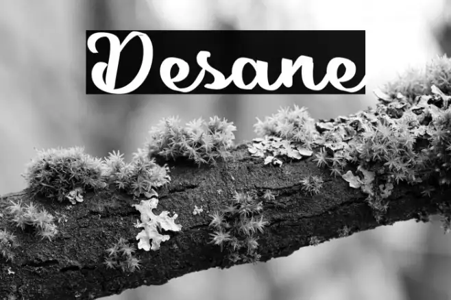 Desane Example 3
