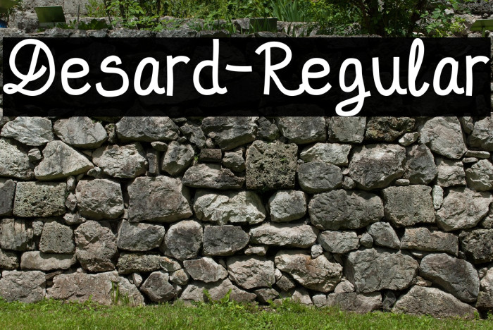 Desard-Regular Example 1