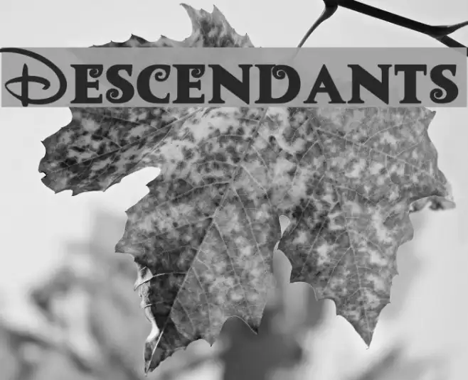 Descendants Example 2