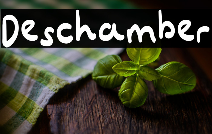 Deschamber Example 3